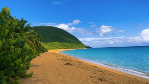 Guadeloupe-French-Carribean-2020-4K.mp4_snapshot_00.49_2021.04.26_16.56.47