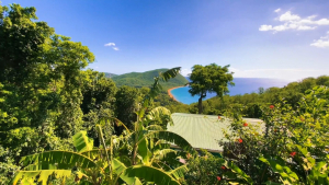 Guadeloupe-French-Carribean-2020-4K.mp4_snapshot_01.47_2021.04.26_16.57.32
