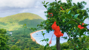 Guadeloupe-French-Carribean-2020-4K.mp4_snapshot_02.04_2021.04.26_16.57.51