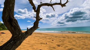 Guadeloupe-French-Carribean-2020-4K.mp4_snapshot_02.12_2021.04.26_16.58.08