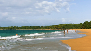 Guadeloupe-French-Carribean-2020-4K.mp4_snapshot_02.29_2021.04.26_16.58.29-1