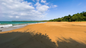 Guadeloupe-French-Carribean-2020-4K.mp4_snapshot_02.58_2021.04.26_16.59.03