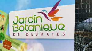 Guadeloupe-French-Carribean-2020-4K.mp4_snapshot_03.37_2021.04.26_16.59.50