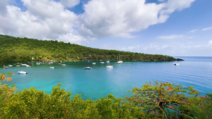 Guadeloupe-French-Carribean-2020-4K.mp4_snapshot_08.08_2021.04.26_17.07.34