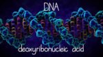 Το Ανθρώπινο DNA