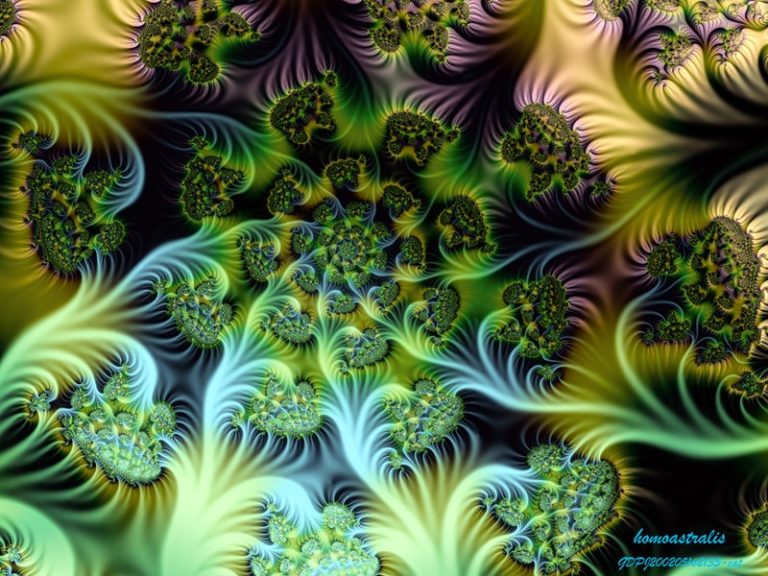 FractalsCollection2001-2