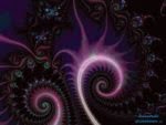 Homoastralis Fractal Artwork – Julia Seed